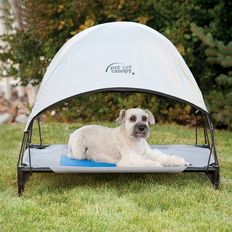 K&H Manufacturing Pet Cot Canopy Bed Accessory & Reviews Wayfair